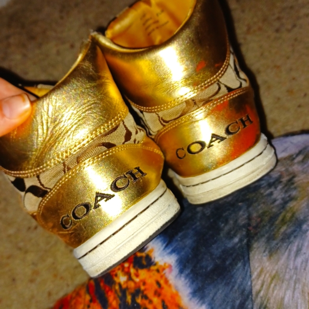 COPY - Coach Hightop shoes